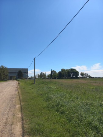 Terreno en Alvarez