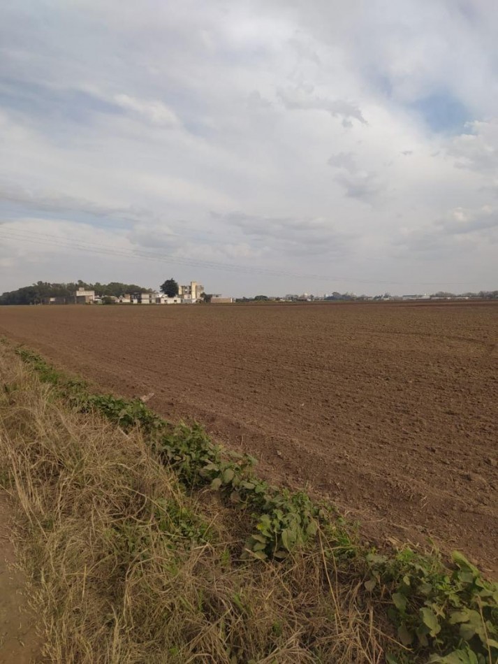 Campo de 3.7 Has Arroyo Seco