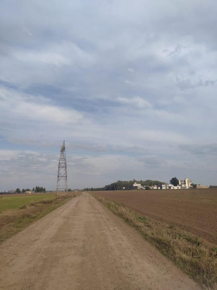 Campo de 3.7 Has Arroyo Seco